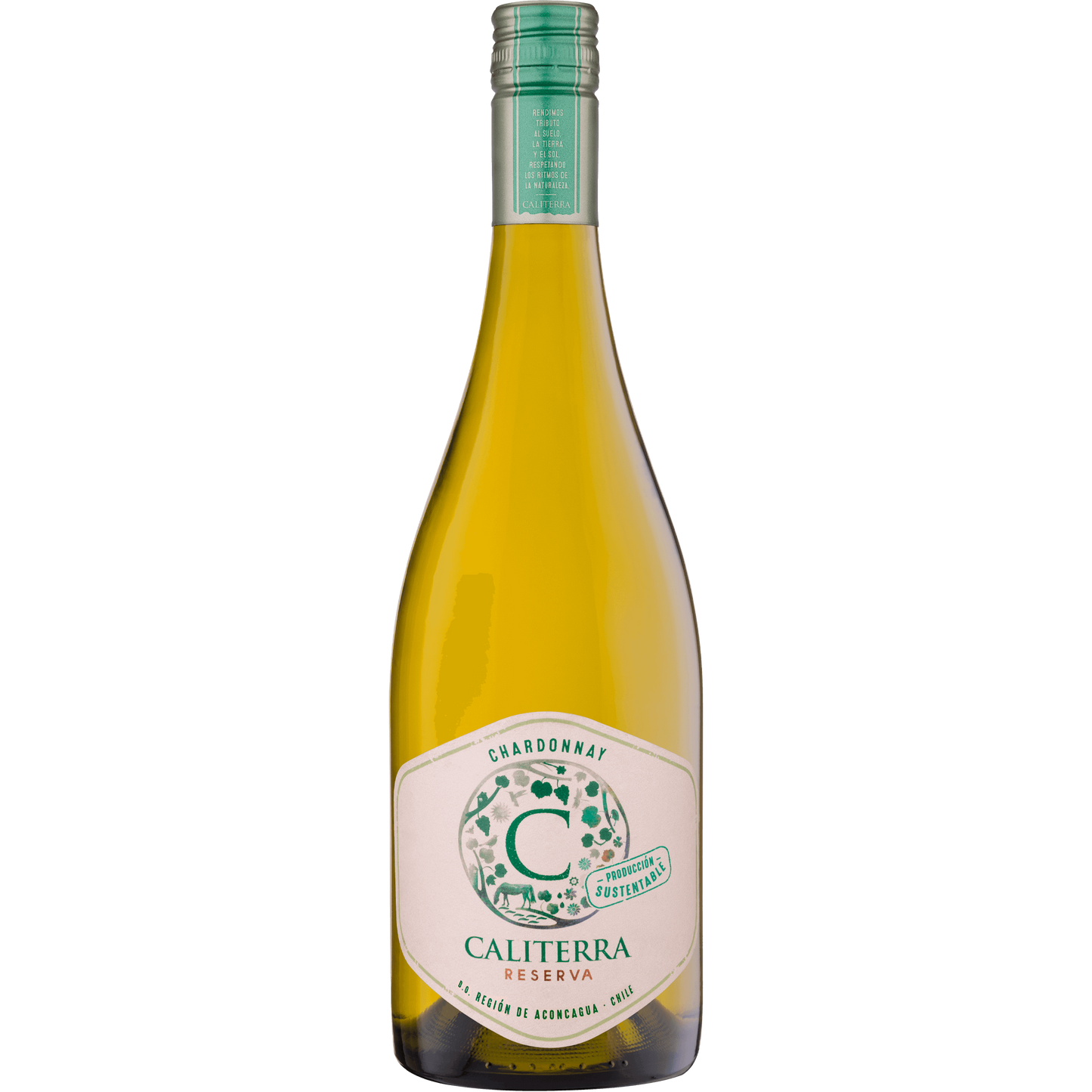 Caliterra Reserva Chardonnay-White Wine-Fountainhall Wines