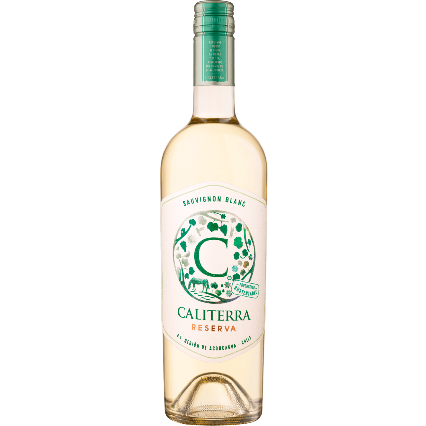 Caliterra Reserva Sauvignon Blanc-White Wine-Fountainhall Wines