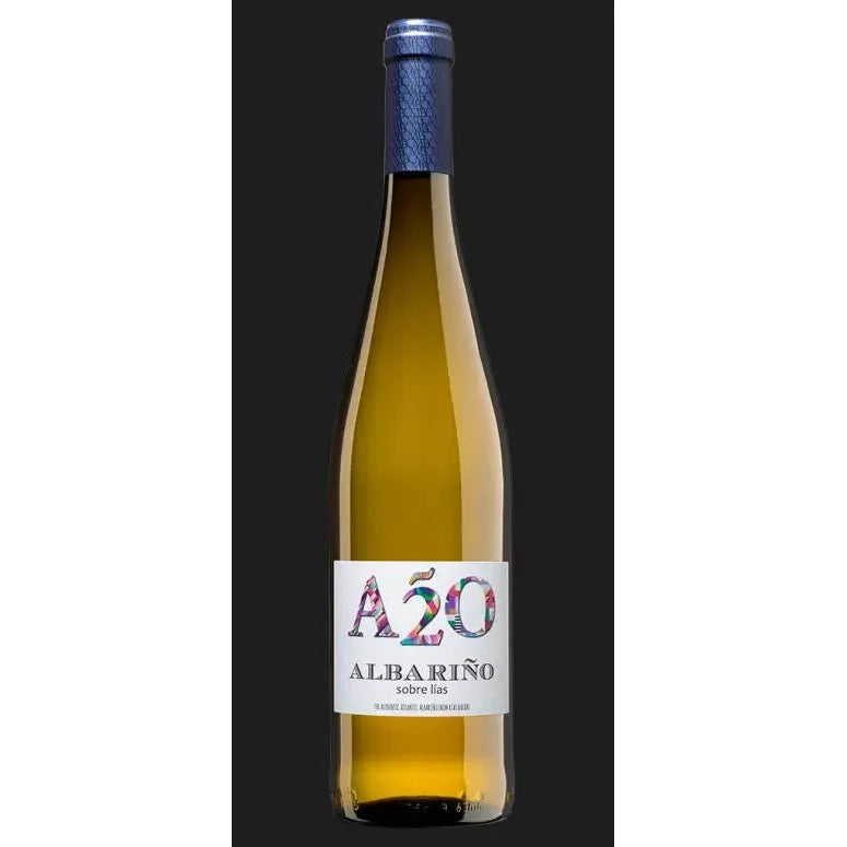 Bodegas Castro Martin A2O Albarino-White Wine-Fountainhall Wines