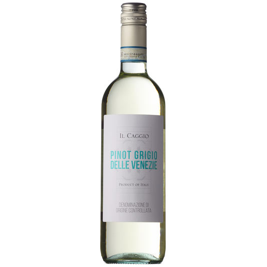 Il Caggio Pinot Grigio-White Wine-Fountainhall Wines