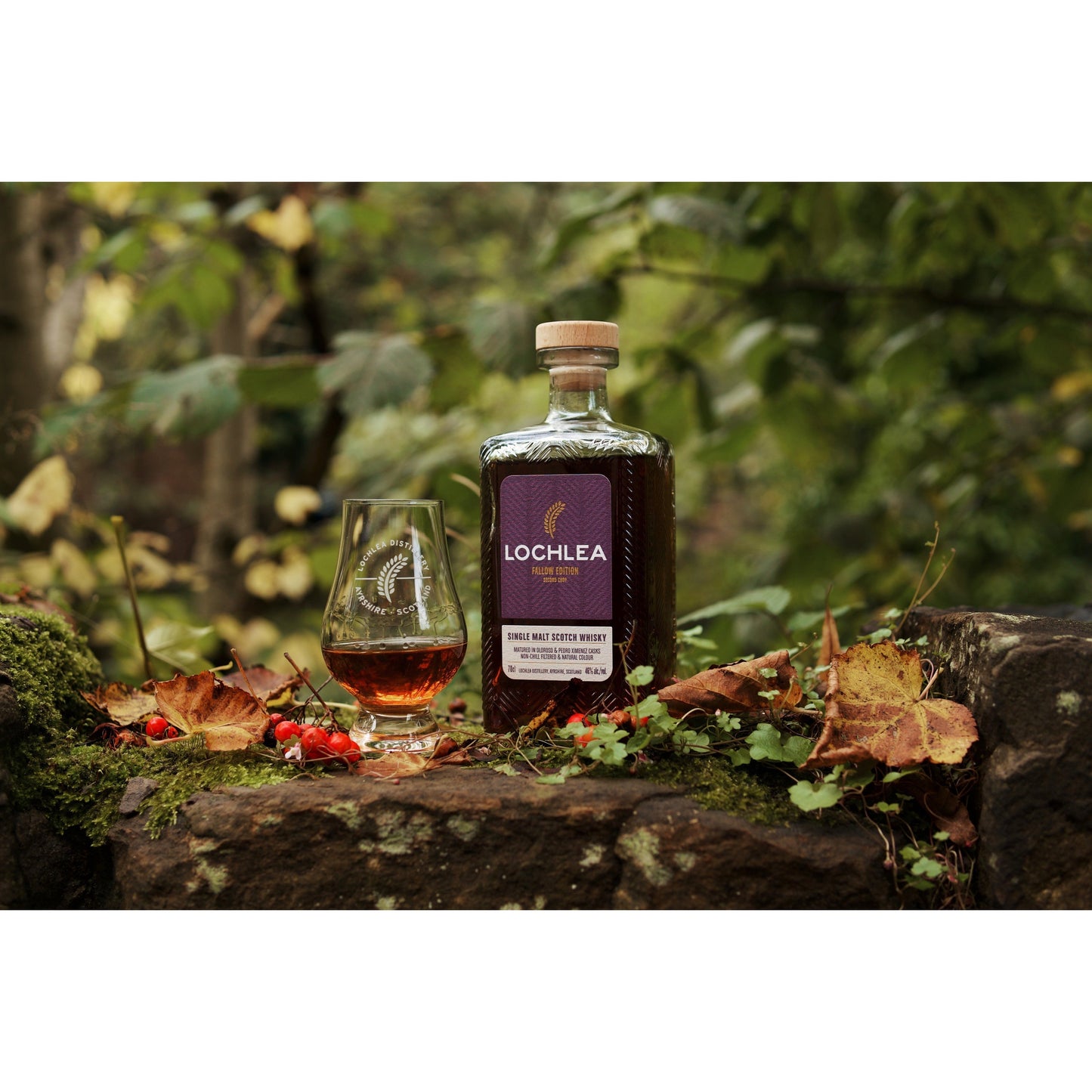 Lochlea Fallow Edition (Second Crop) - Single Malt Scotch Whisky-Single Malt Scotch Whisky-5065008253174-Fountainhall Wines
