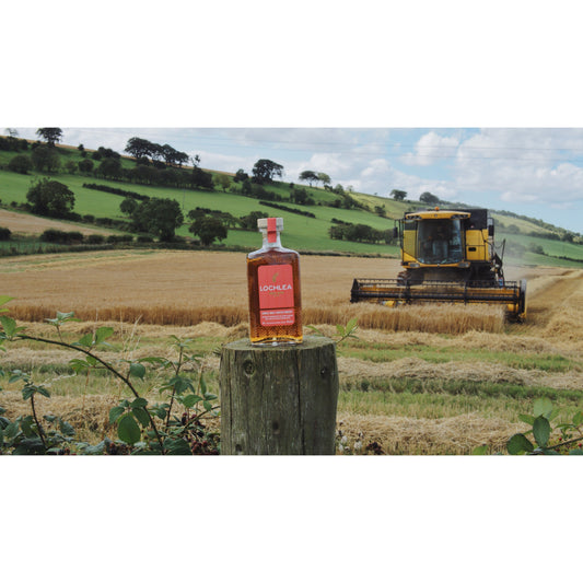 Lochlea Harvest Edition (First Crop) - Single Malt Scotch Whisky-Single Malt Scotch Whisky-Fountainhall Wines