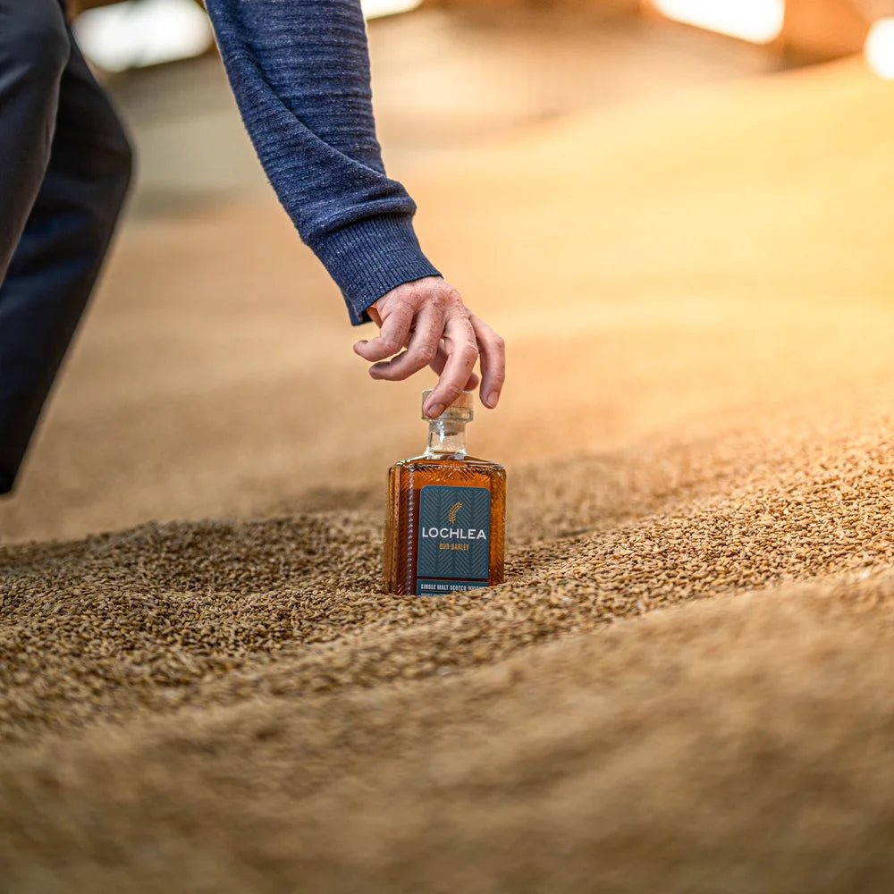 Lochlea Our Barley - Single Malt Scotch Whisky-Single Malt Scotch Whisky-Fountainhall Wines