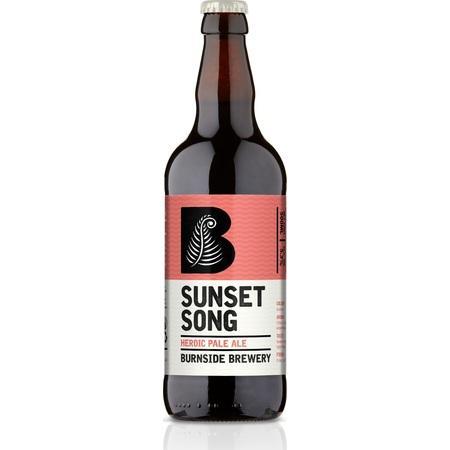 Burnside Sunset Song - Elderflower Pale Ale 500ml-Scottish Beers-5060243080066-Fountainhall Wines