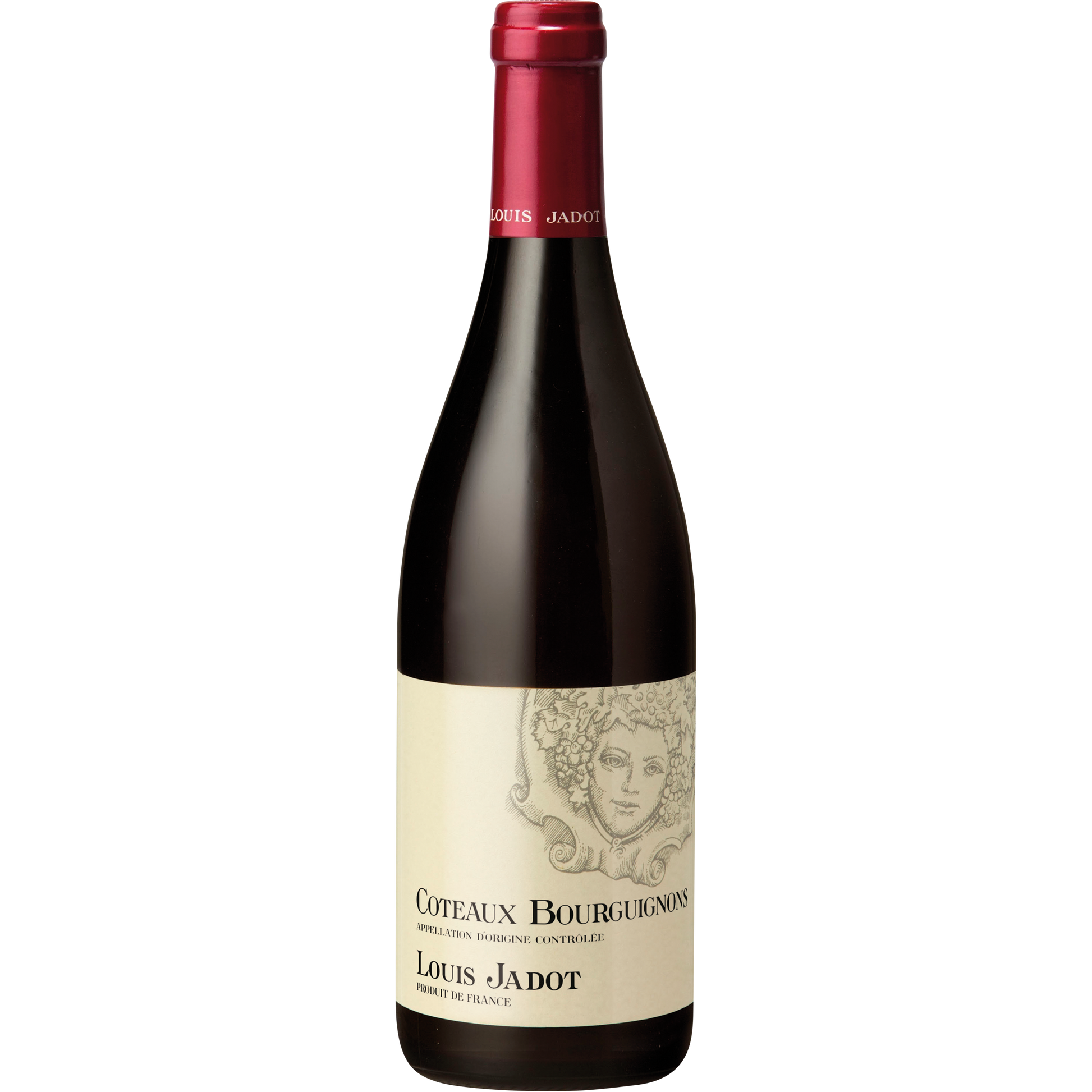 Louis Jadot Coteaux Bourguignons Rouge-Red Wine-3535921290003-Fountainhall Wines
